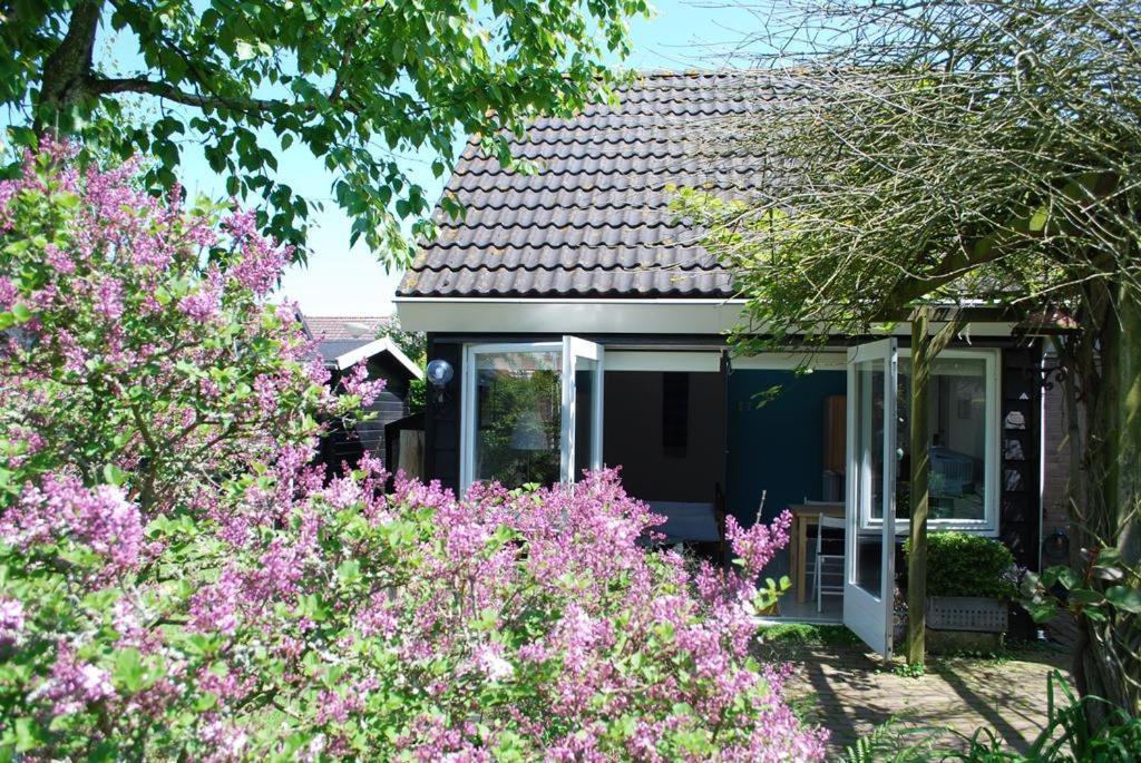 De Zeeuwster * Burgh-Haamstede